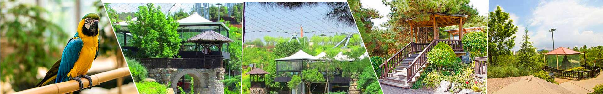 بهترین خرید باغ پرندگان تهران با بیشترین درصد تخفیف در قیمت - 40%